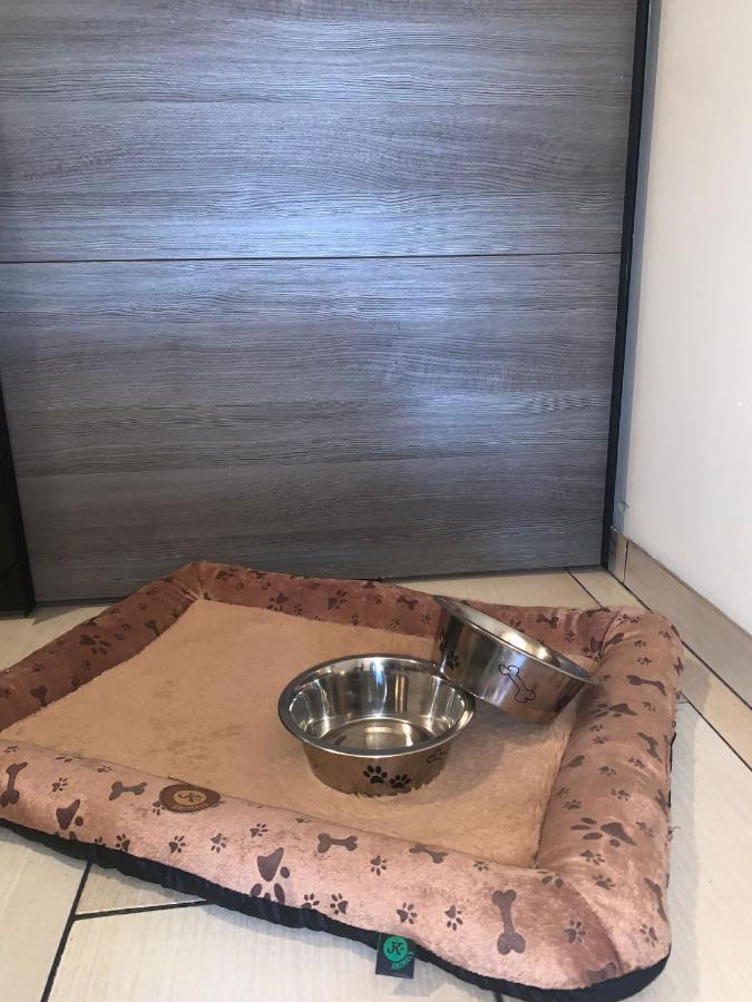 Apartment Owl Korenov Bagian luar foto