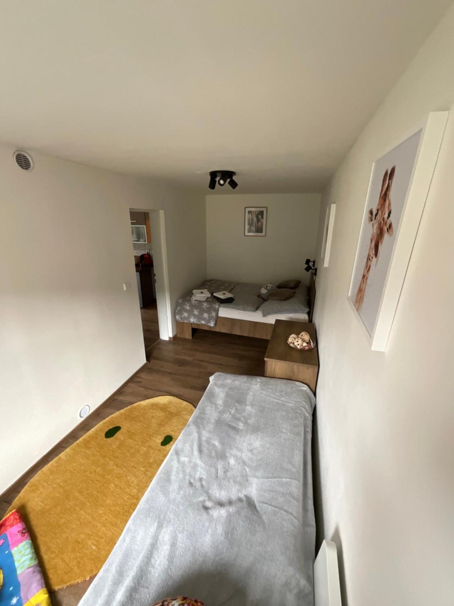 Apartment Owl Korenov Bagian luar foto