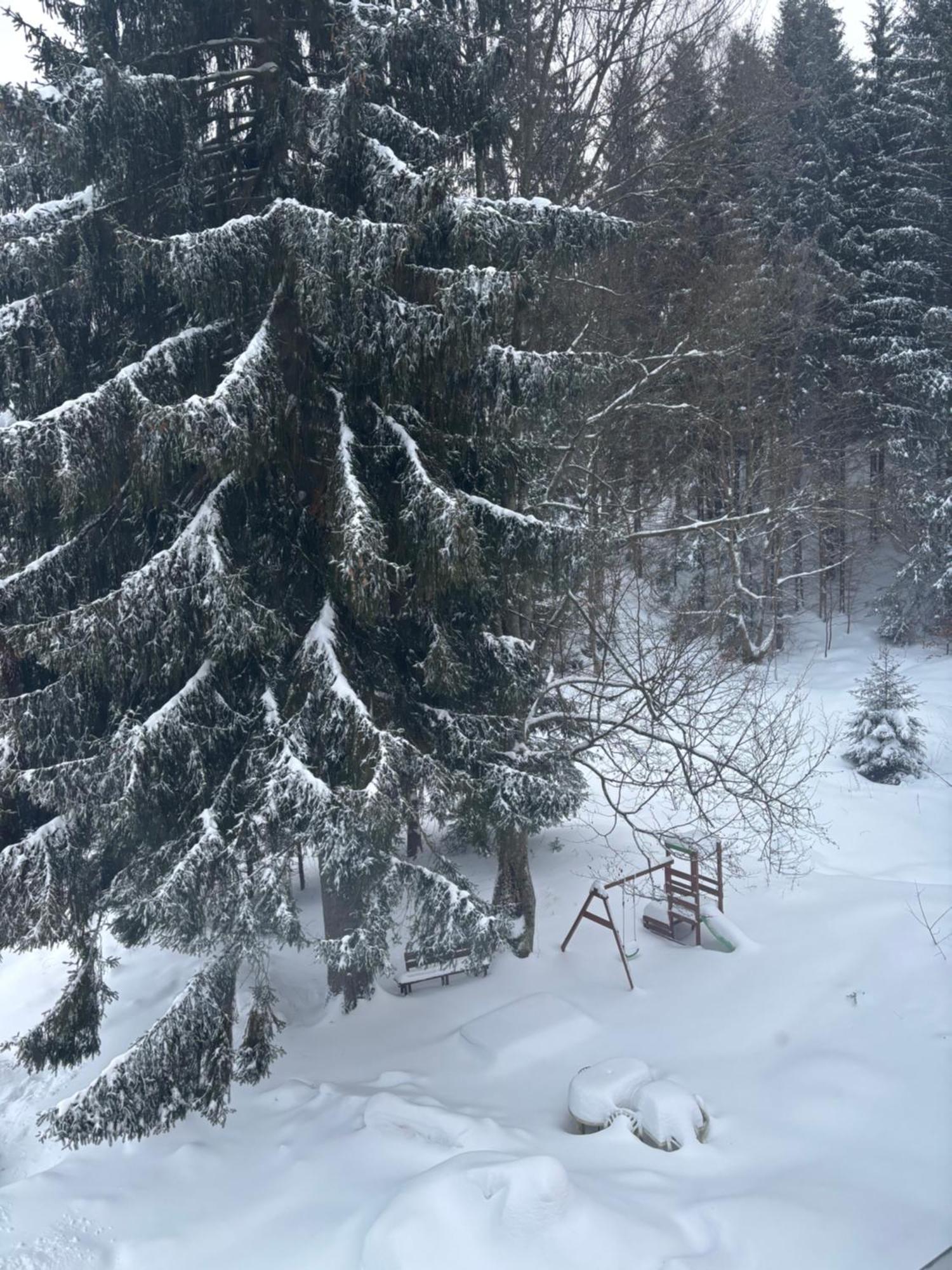 Apartment Owl Korenov Bagian luar foto